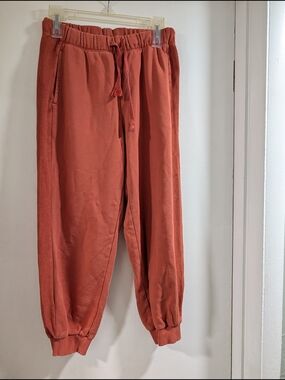 aerie Rust Red Track Joggers